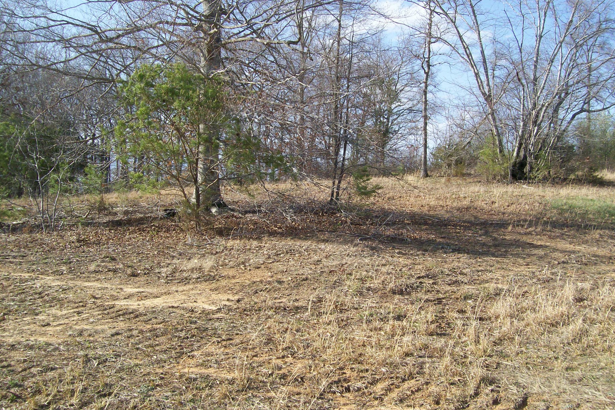 0 Rock Station Road Rock Island, TN 38581 - Photo 6 of 7