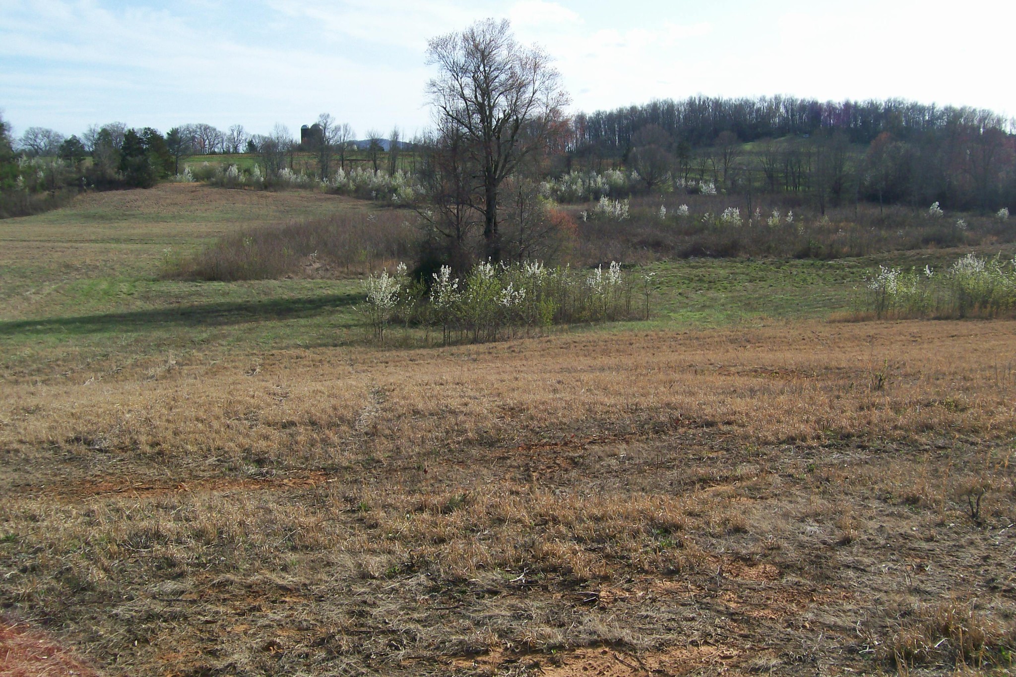 0 Rock Station Road Rock Island, TN 38581 - Photo 7 of 7