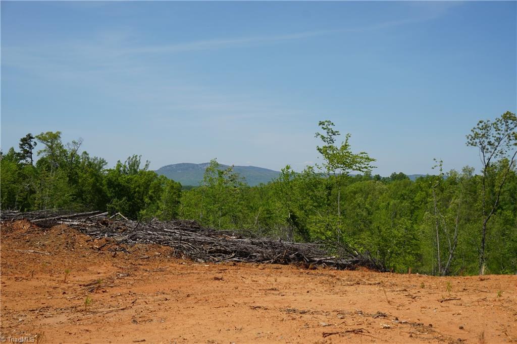 1 North Friendship Road Germanton, NC 27019 - Photo 12 of 29