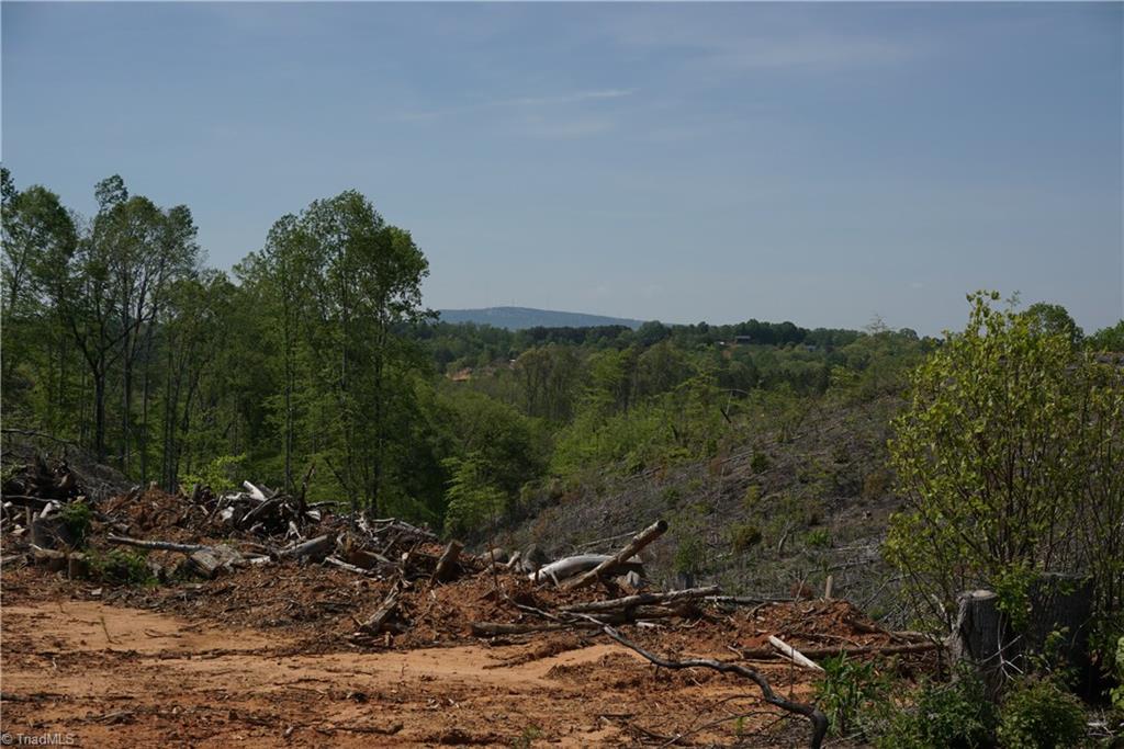1 North Friendship Road Germanton, NC 27019 - Photo 15 of 29