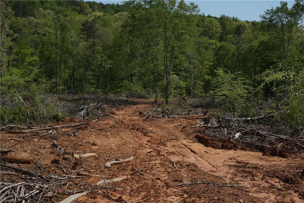 1 North Friendship Road Germanton, NC 27019 - Photo 19 of 29