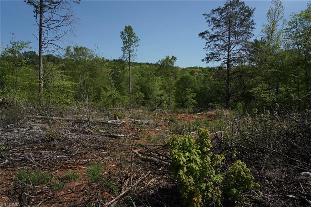 1 North Friendship Road Germanton, NC 27019 - Photo 21 of 29