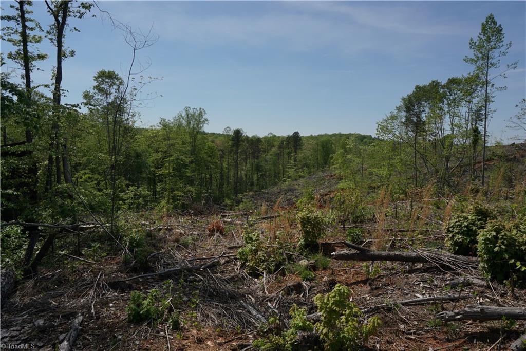 1 North Friendship Road Germanton, NC 27019 - Photo 23 of 29