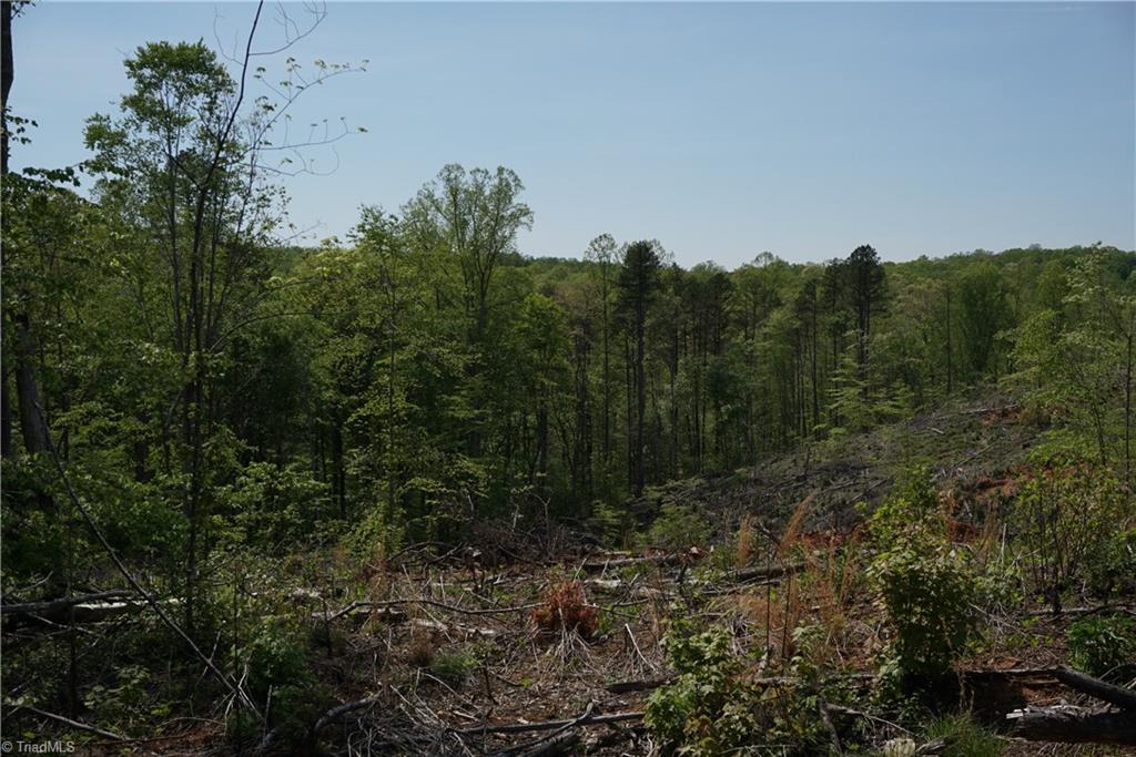1 North Friendship Road Germanton, NC 27019 - Photo 24 of 29