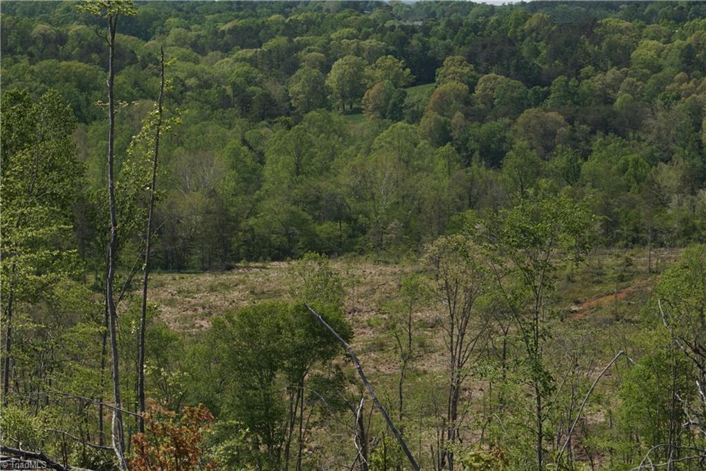 1 North Friendship Road Germanton, NC 27019 - Photo 26 of 29