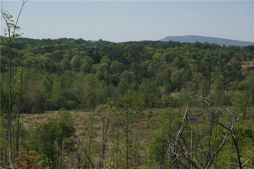 1 North Friendship Road Germanton, NC 27019 - Photo 27 of 29
