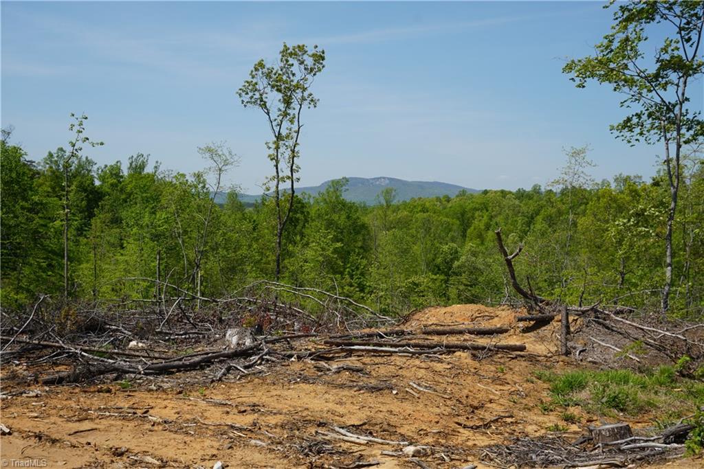 1 North Friendship Road Germanton, NC 27019 - Photo 6 of 29
