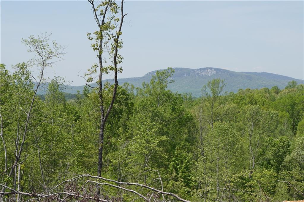 1 North Friendship Road Germanton, NC 27019 - Photo 7 of 29