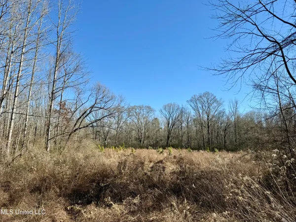 $132,300 | 12 Highway Sallis Ms 39160, Sallis, MS 39160