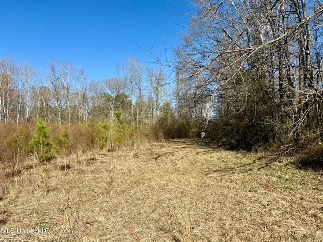 $132,300 | 12 Highway Sallis Ms 39160, Sallis, MS 39160