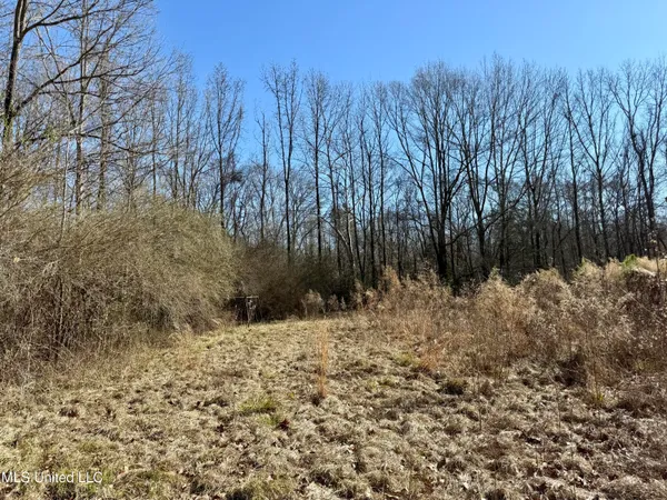 $132,300 | 12 Highway Sallis Ms 39160, Sallis, MS 39160