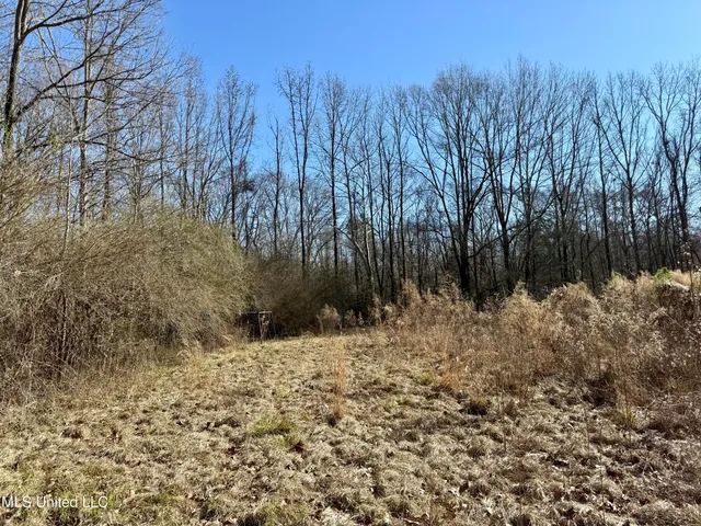 $132,300 | 12 Highway Sallis Ms 39160, Sallis, MS 39160