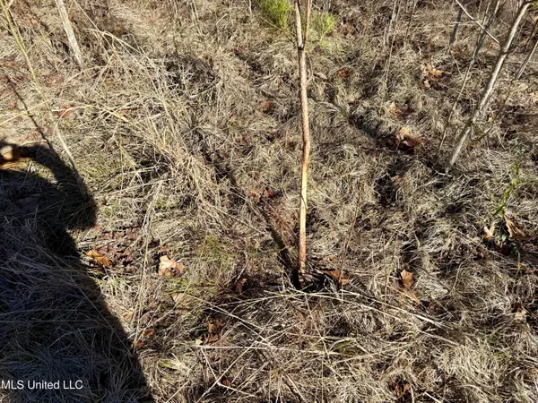 $132,300 | 12 Highway Sallis Ms 39160, Sallis, MS 39160