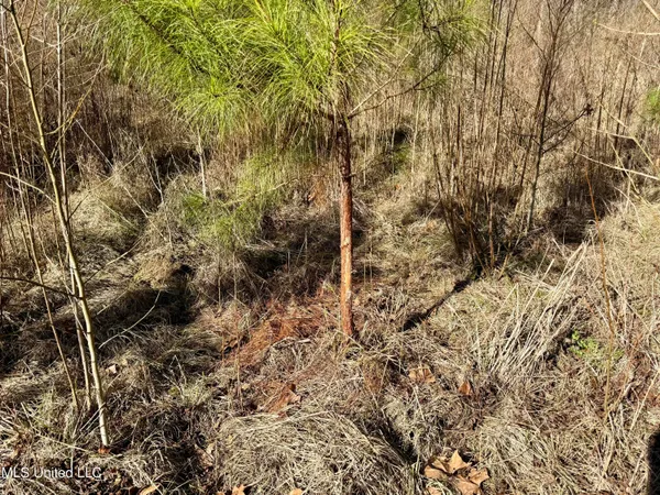 $132,300 | 12 Highway Sallis Ms 39160, Sallis, MS 39160