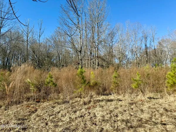 $132,300 | 12 Highway Sallis Ms 39160, Sallis, MS 39160