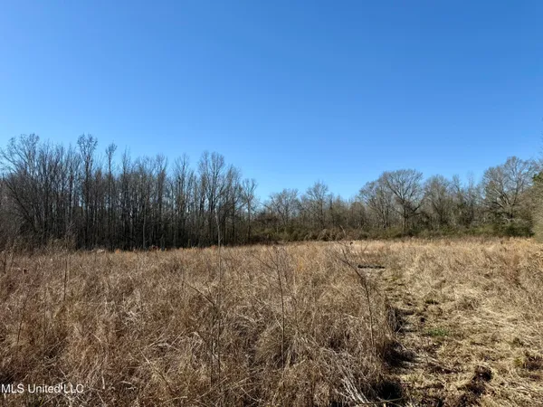 $132,300 | 12 Highway Sallis Ms 39160, Sallis, MS 39160