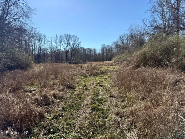 $132,300 | 12 Highway Sallis Ms 39160, Sallis, MS 39160