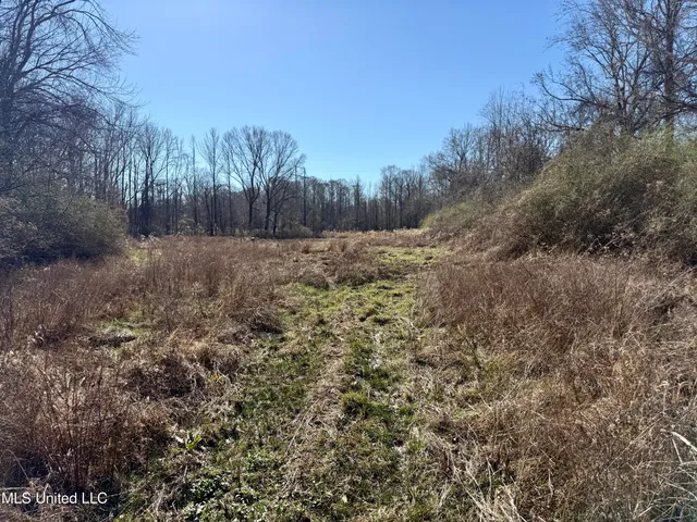 $132,300 | 12 Highway Sallis Ms 39160, Sallis, MS 39160