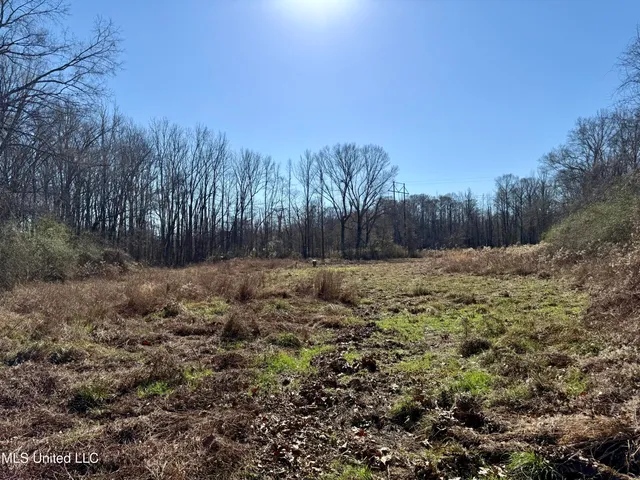 $132,300 | 12 Highway Sallis Ms 39160, Sallis, MS 39160