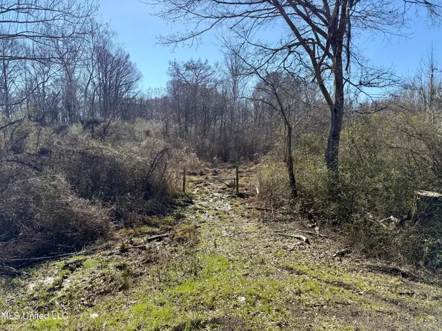 $132,300 | 12 Highway Sallis Ms 39160, Sallis, MS 39160