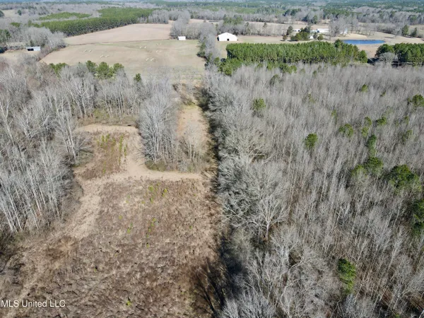 $132,300 | 12 Highway Sallis Ms 39160, Sallis, MS 39160