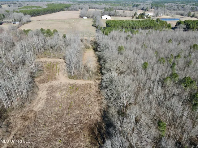 $132,300 | 12 Highway Sallis Ms 39160, Sallis, MS 39160