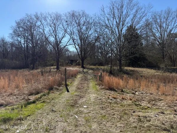 $132,300 | 12 Highway Sallis Ms 39160, Sallis, MS 39160