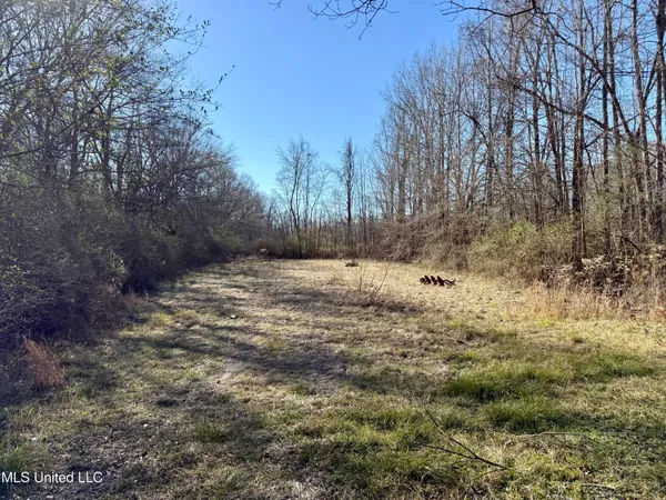 $132,300 | 12 Highway Sallis Ms 39160, Sallis, MS 39160