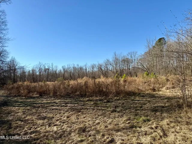 $132,300 | 12 Highway Sallis Ms 39160, Sallis, MS 39160