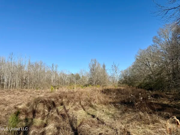 $132,300 | 12 Highway Sallis Ms 39160, Sallis, MS 39160