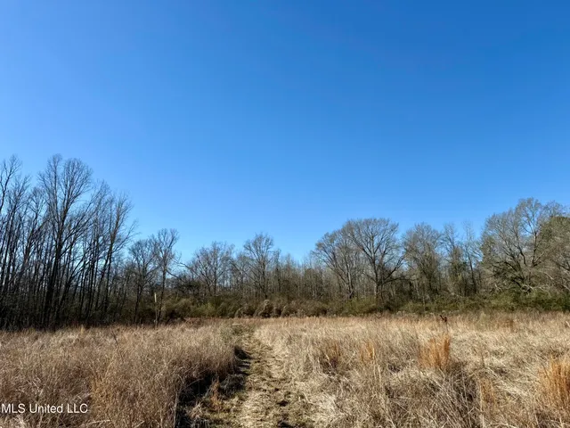 $132,300 | 12 Highway Sallis Ms 39160, Sallis, MS 39160