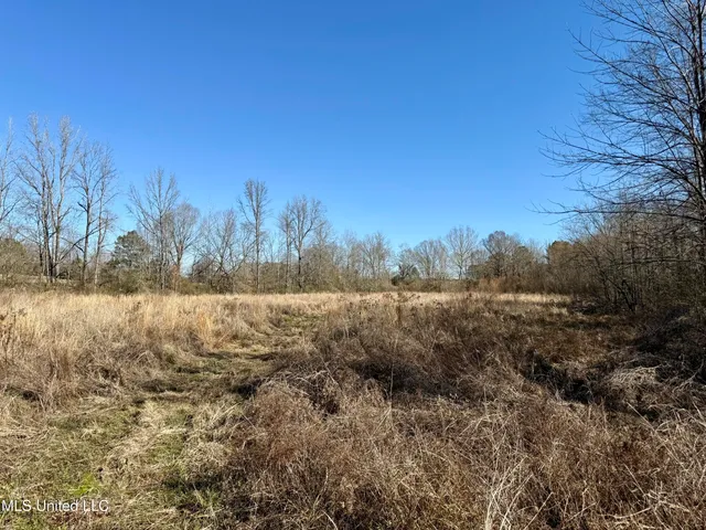 $132,300 | 12 Highway Sallis Ms 39160, Sallis, MS 39160