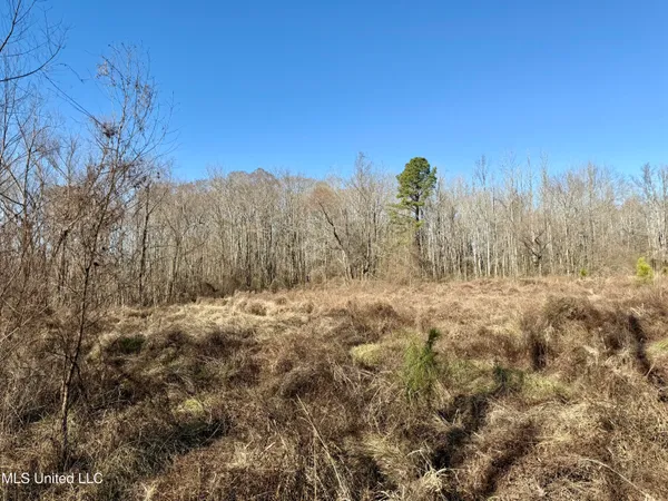 $132,300 | 12 Highway Sallis Ms 39160, Sallis, MS 39160