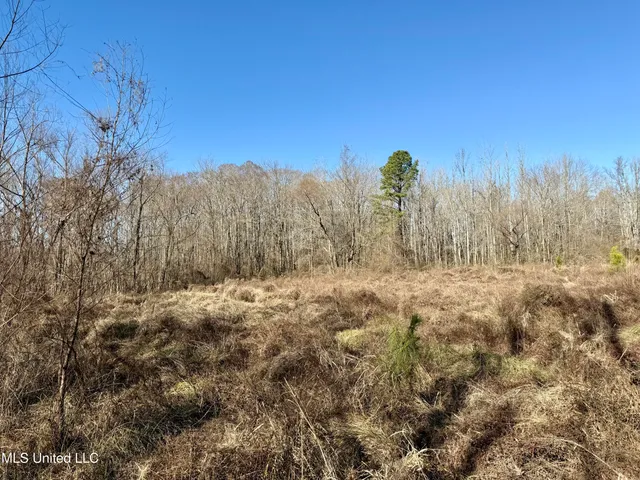 $132,300 | 12 Highway Sallis Ms 39160, Sallis, MS 39160