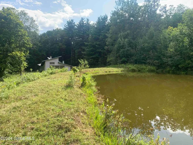 $198,800 | 50 Frieda's Hill Lane, Rensselaerville, NY 12469