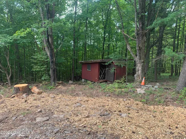 $198,800 | 50 Frieda's Hill Lane, Rensselaerville, NY 12469