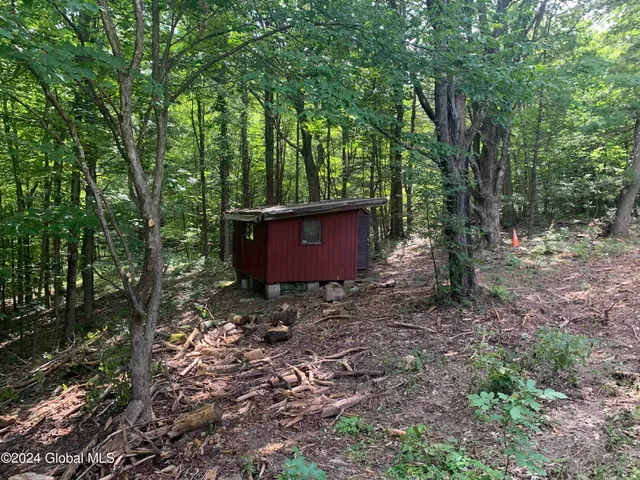 $198,800 | 50 Frieda's Hill Lane, Rensselaerville, NY 12469