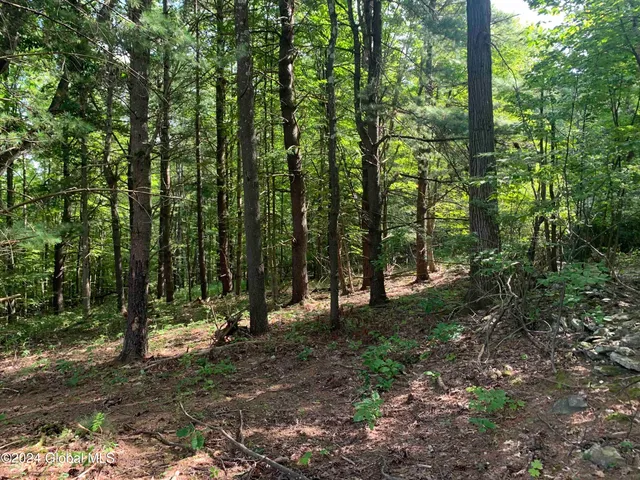 $198,800 | 50 Frieda's Hill Lane, Rensselaerville, NY 12469