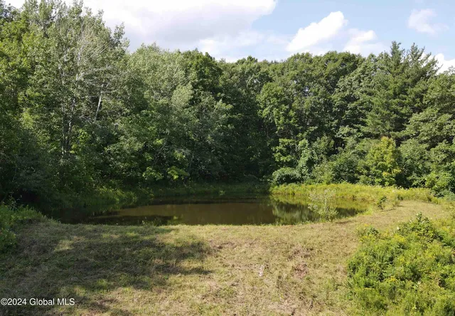 $198,800 | 50 Frieda's Hill Lane, Rensselaerville, NY 12469