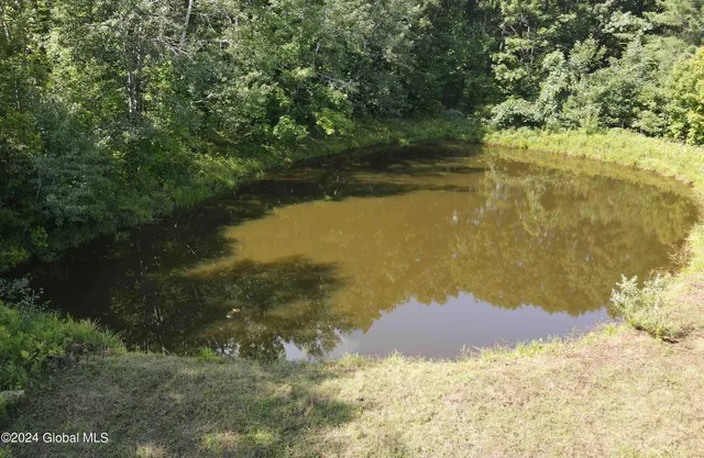 $198,800 | 50 Frieda's Hill Lane, Rensselaerville, NY 12469