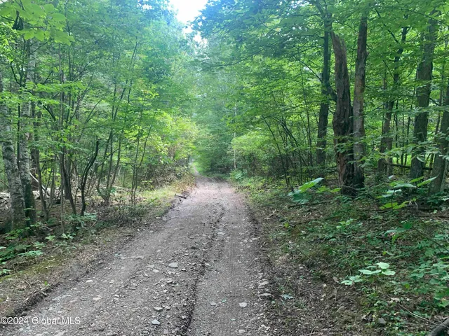 $198,800 | 50 Frieda's Hill Lane, Rensselaerville, NY 12469