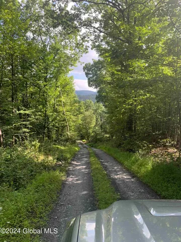 $198,800 | 50 Frieda's Hill Lane, Rensselaerville, NY 12469