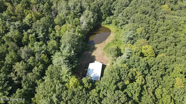 $198,800 | 50 Frieda's Hill Lane, Rensselaerville, NY 12469