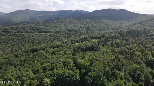 $198,800 | 50 Frieda's Hill Lane, Rensselaerville, NY 12469