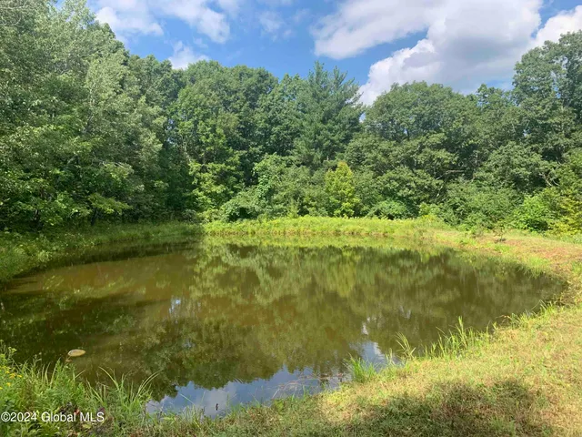 $198,800 | 50 Frieda's Hill Lane, Rensselaerville, NY 12469