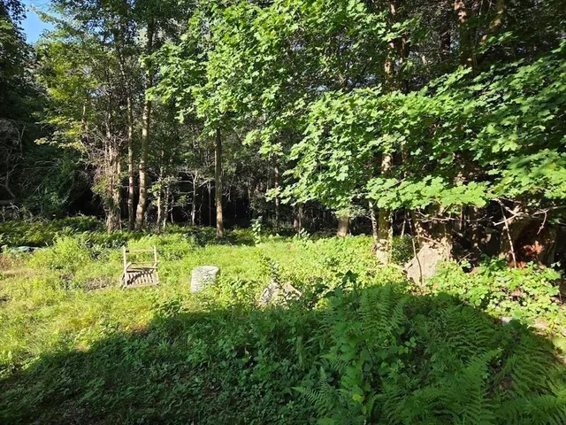 a backyard of a house with lots of green space
