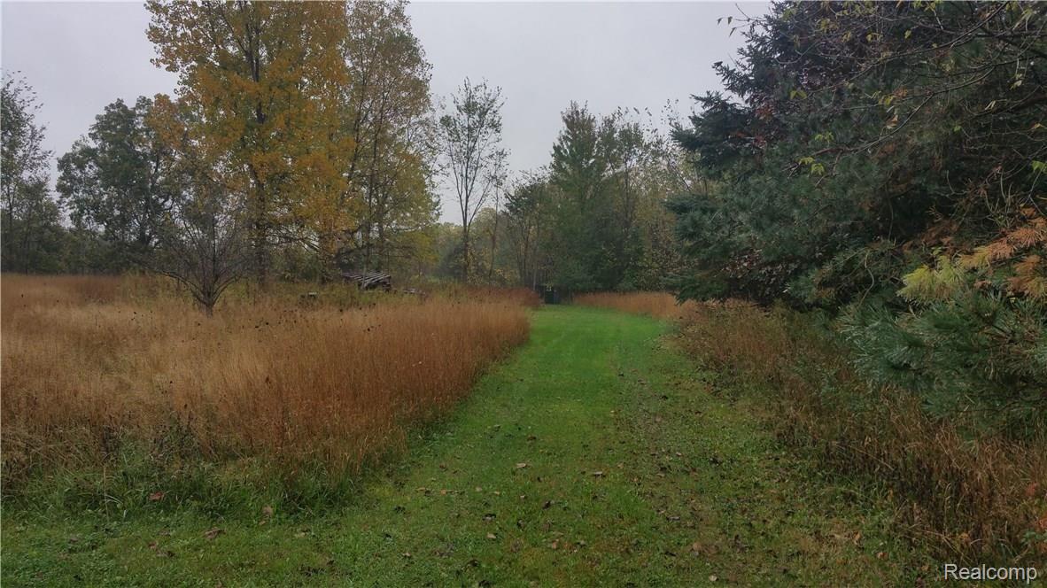 14747 Colby Road Perry, MI 48872 - Photo 16 of 17 More Trails