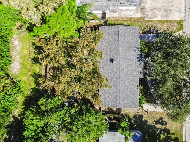 a view of a garden with plants