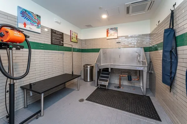 $2,655 | 346 Somerville Avenue, Unit 1, Somerville, MA 02143