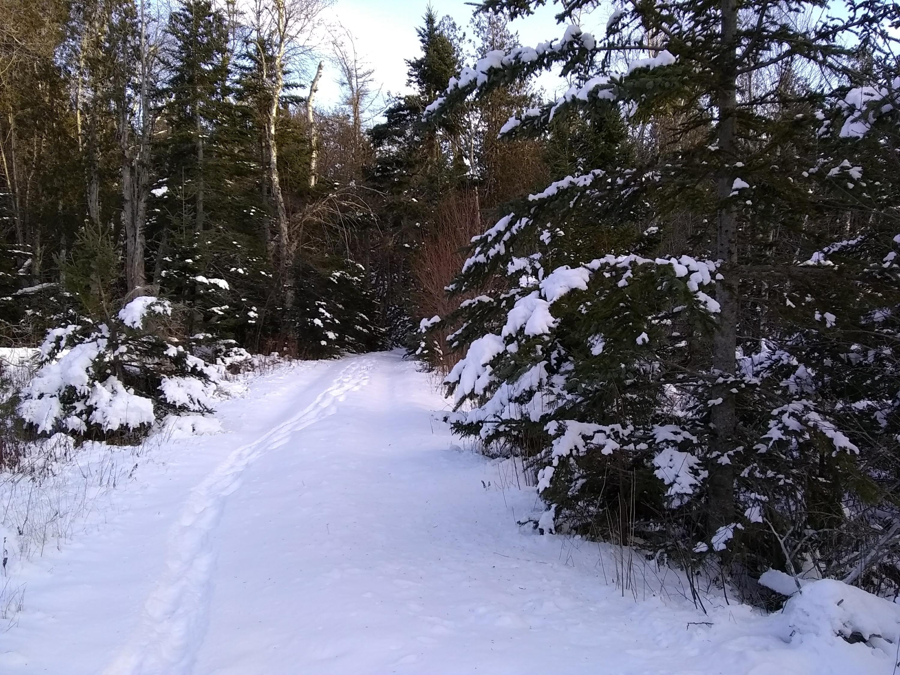 Map 1-lot Map 1-lot Boot Cove Road Lubec, ME 04652 - Photo 6 of 7 IMG_20181123_145416227